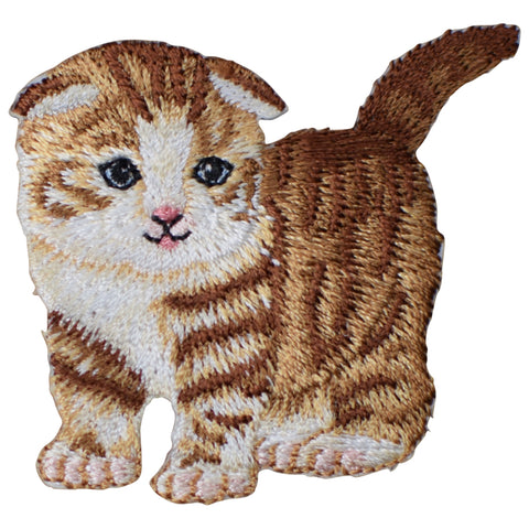 Scottish Fold Cat Applique Patch - Kitten Kitty Feline Animal 2-1/8" (Iron on)