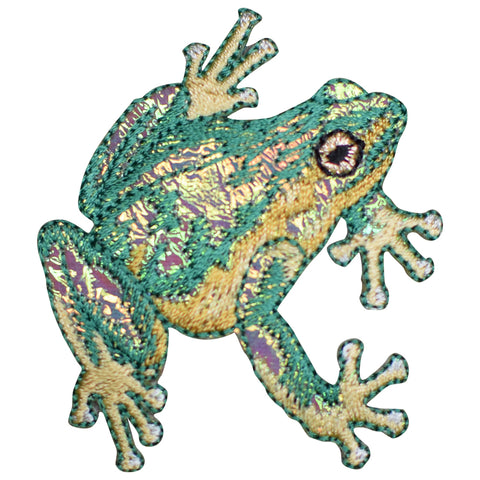 Shiny Frog Applique Patch - Amphibian Badge 2.25" (Iron on) - Patch Parlor