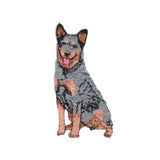 A small embroidered patch showing a seated Australian Cattle Dog with mottled gray, black, tan, and brown fur on a plain white background.