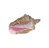 Decorative shell patch with pink interior on a white background
