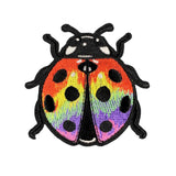 Rainbow Ladybug Patch on a white background