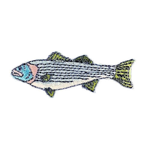striped bass fish patch on a white background