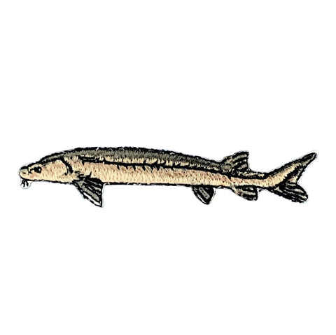 embroidered sturgeon fish patch on a white background