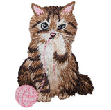 cat with pink yarn patch on a white background