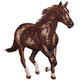 Brown horse patch on a white background