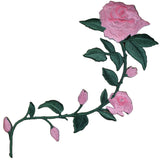 pink rose patch with a long green stem