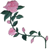 pink rose patch with a long green stem
