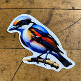 A colorful vinyl decal of a Logger Headed Shrike Bird perched on a branch.
