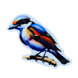 A colorful vinyl decal of a Logger Headed Shrike Bird perched on a branch.