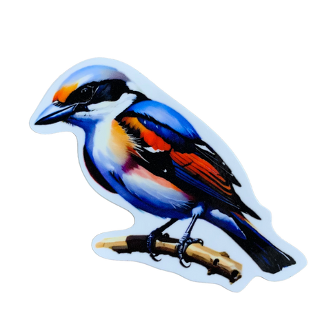 A colorful vinyl decal of a Logger Headed Shrike Bird perched on a branch.