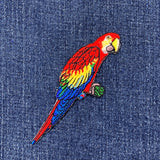 Colorful parrot patch on denim fabric