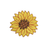 Yellow sunflower patch on a white background