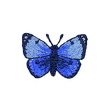 Blue butterfly patch on a white background