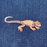 Embroidered lizard patch on a denim background