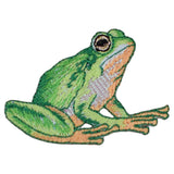a green frog patch on a white background