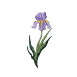 Purple iris flower patch with green stem on a white background