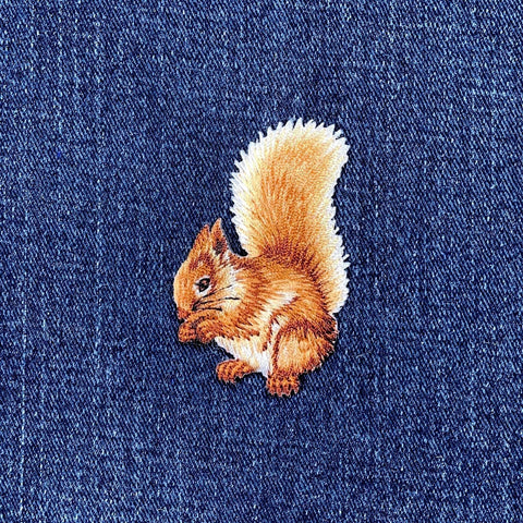 Squirrel Eating Nuts Applique Patch - Embroidered Animal Badge 2.25" (Iron On)