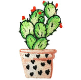 a green cactus patch with red flowers in a pot with 11 miniature black hearts 