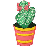 a green cactus patch with pink flowers in a pink pot with yellow stripes