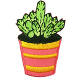 A patch depicting a green cactus in a pink pot with yellow stripes on the side.