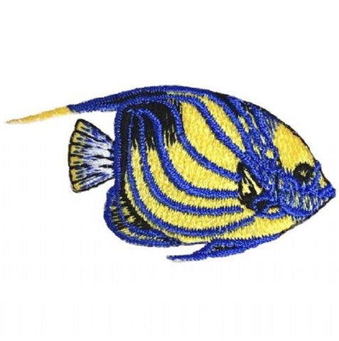 Blue-Ring Angelfish Applique Patch - Ocean, Tropical Fish Badge 2.5" (Iron on) - Patch Parlor