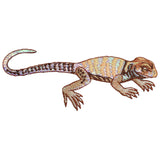 A shiny brown lizard applique patch with detailed patterns on its body, designed as a Badge for iron on application.