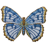 Embroidered patch of a butterfly with white wings outlined in gold, featuring a detailed blue and light blue vein pattern.