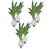 3-Pack Onions Applique Patch - Embroidered Farm & Gardening Badge 2" (Iron On)