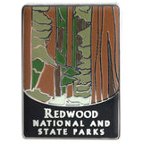 Redwood National Park Pin - Sequoia, Northern California, Humboldt Souvenir