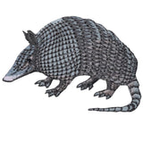 Armadillo Applique Patch Set - Zookeeper, Animal Badge 2.5" (2-Pack, Iron on) - Patch Parlor