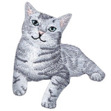 a gray and white cat patch on a white background