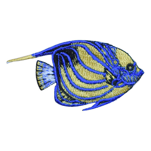 Tropical Blue-Ring Angelfish Applique Patch - Blue and Yellow (Iron on) - Patch Parlor