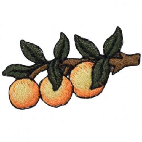 Orange Applique Patch - Fruit, Citrus, Food Badge 1.75" (Iron on) - Patch Parlor