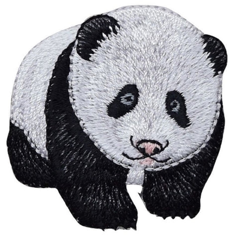 Panda Applique Patch - Giant Panda Bear, Sichuan, China 1.75" (Iron on) - Patch Parlor