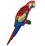 A colorful embroidered patch depicting a parrot with red, blue, and green feathers.
